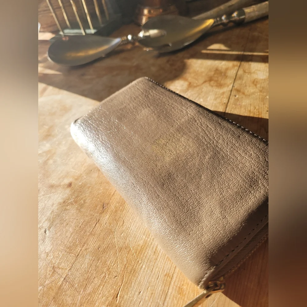 Louis Vuitton Long Zip Wallet
